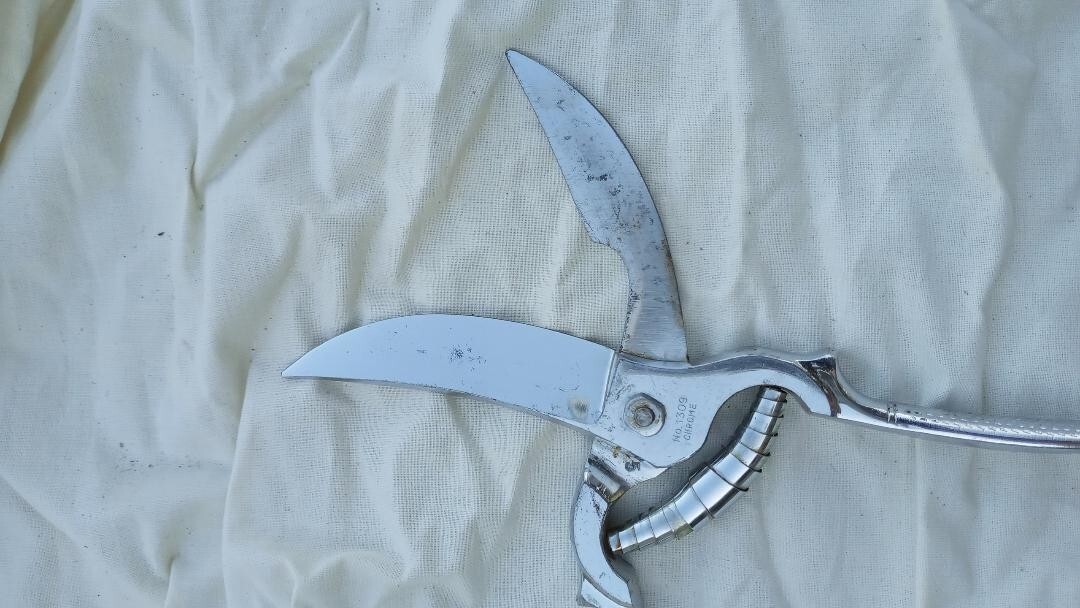 Wiss Germany #1309 Chrome Poultry Shears with Toggle Lock 9"