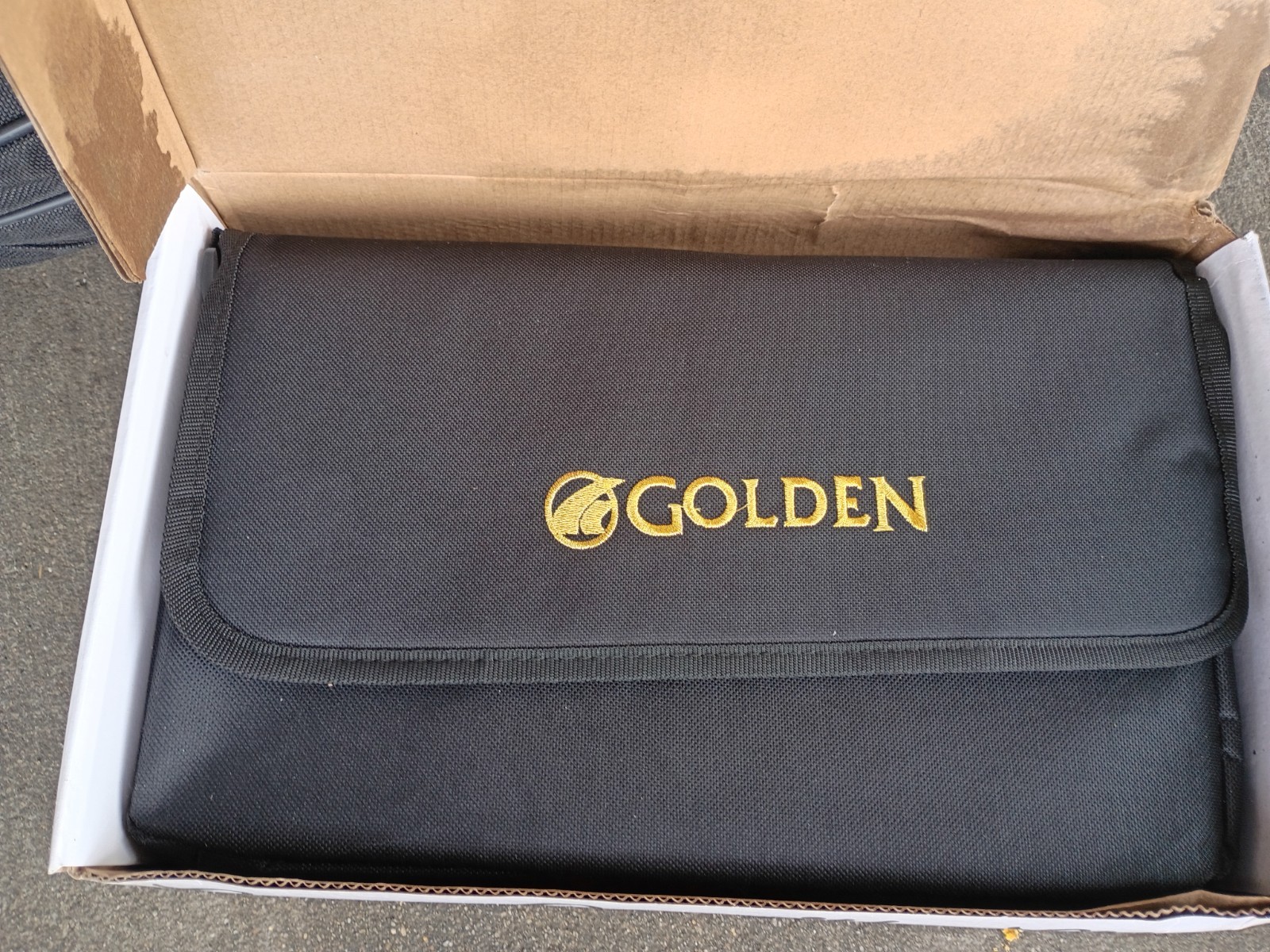 Golden Technologies BuzzAround CarryOn Custom Travel Case for Mobility Scooter