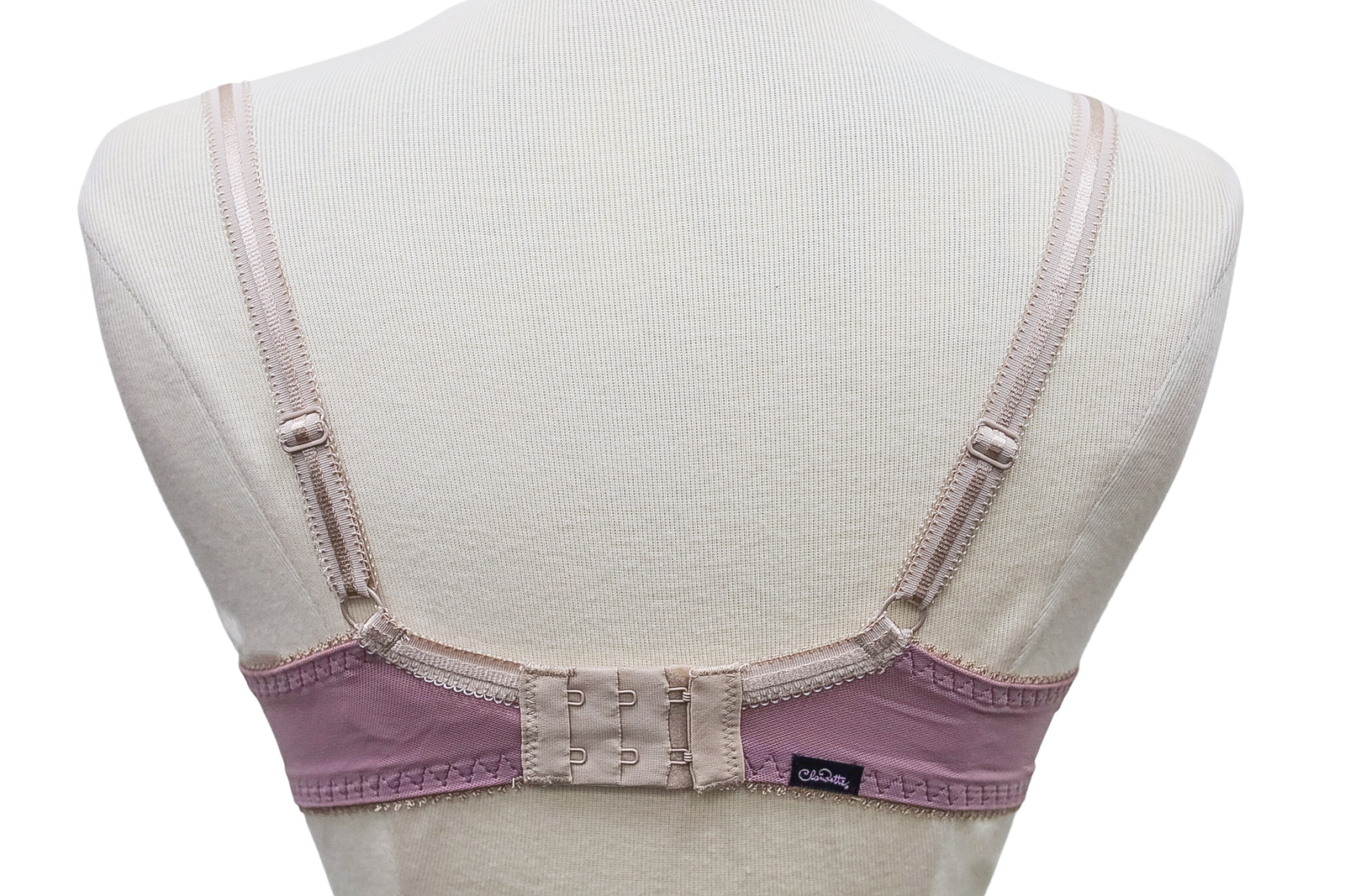 Claudette Dessous Mesh Full Coverage Bra CD2000 Twilight Matchstick