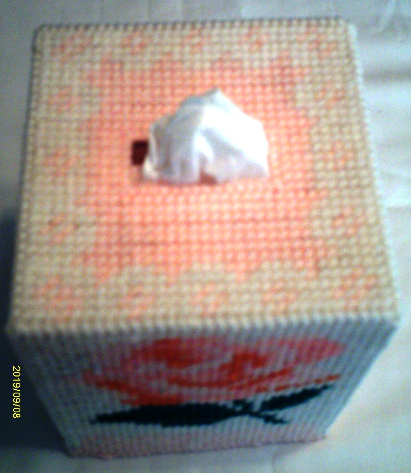 "Peach Rose" Tissue Box Cover (Plastic & Yarn) Finished
