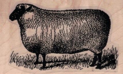 Sheep by Cat Kerr 1 1/2 x 2 1/4" Rubber Stamp, Animal Stamp, Sheep Stamp