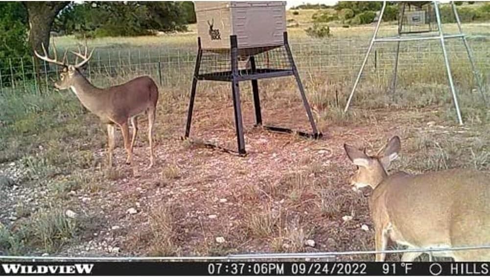 Stealthcam Wildview WV14 14MP 0.7 Seconds Trigger Speed 60 ft Detection Hunting