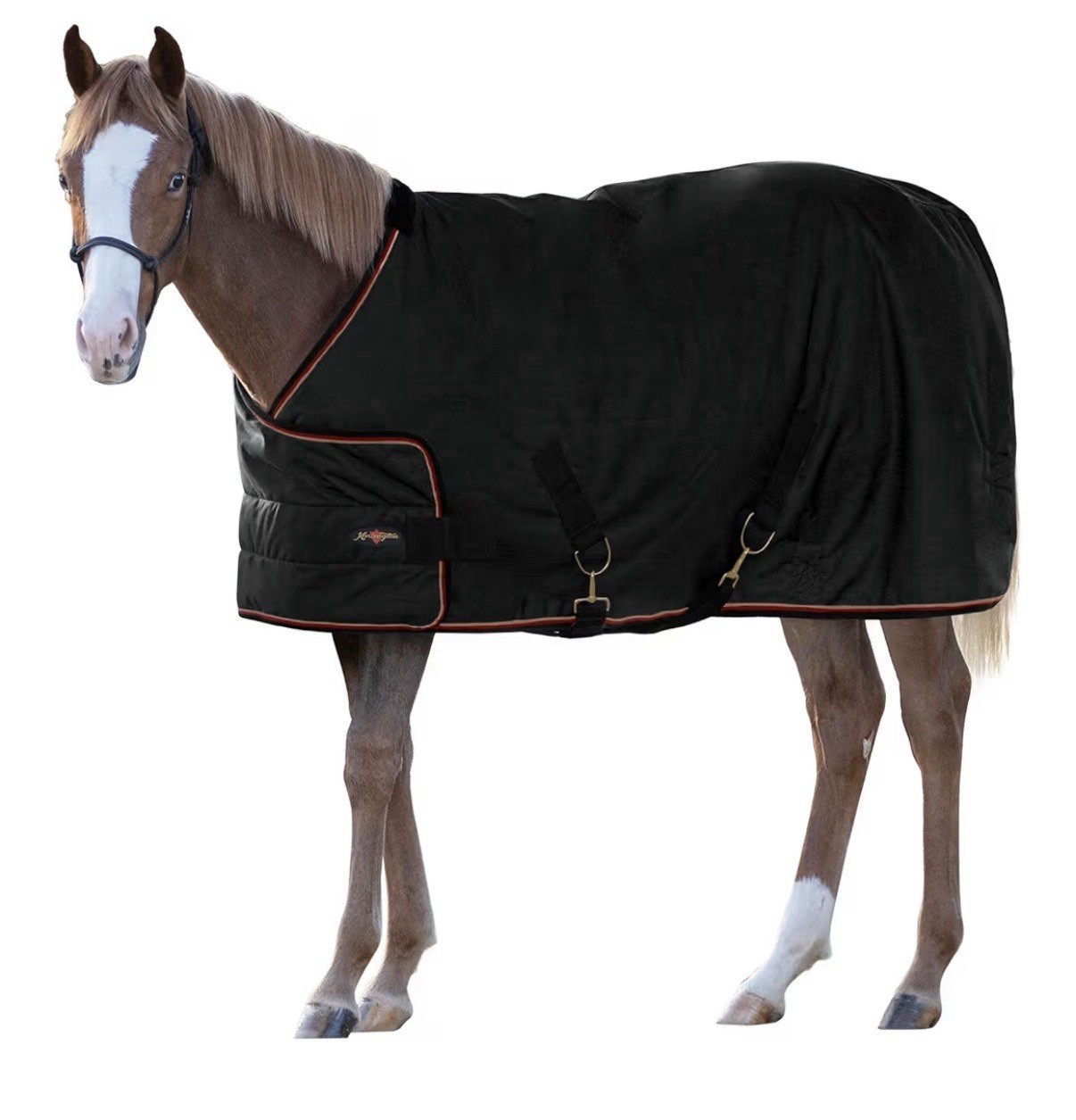 Kensington Medium Weight Turnout Blanket Black