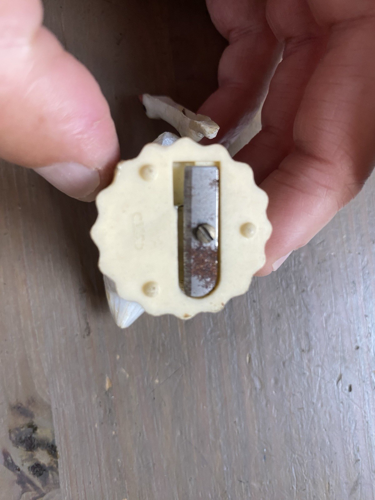 Vintage pencil sharpener