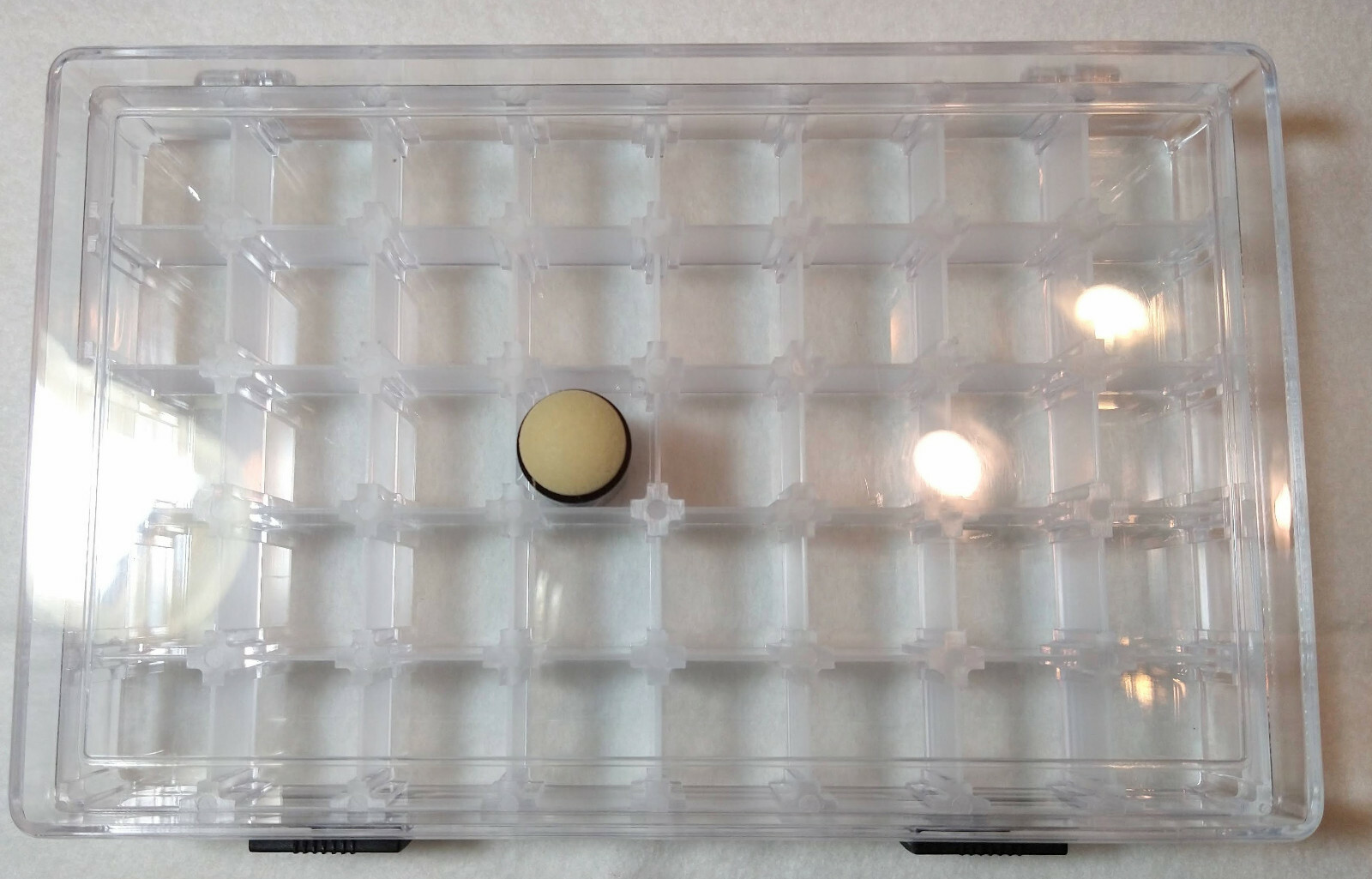 Fingertip Sponge Dauber Storage Box with 1 Dauber - New - Holds 40 Daubers