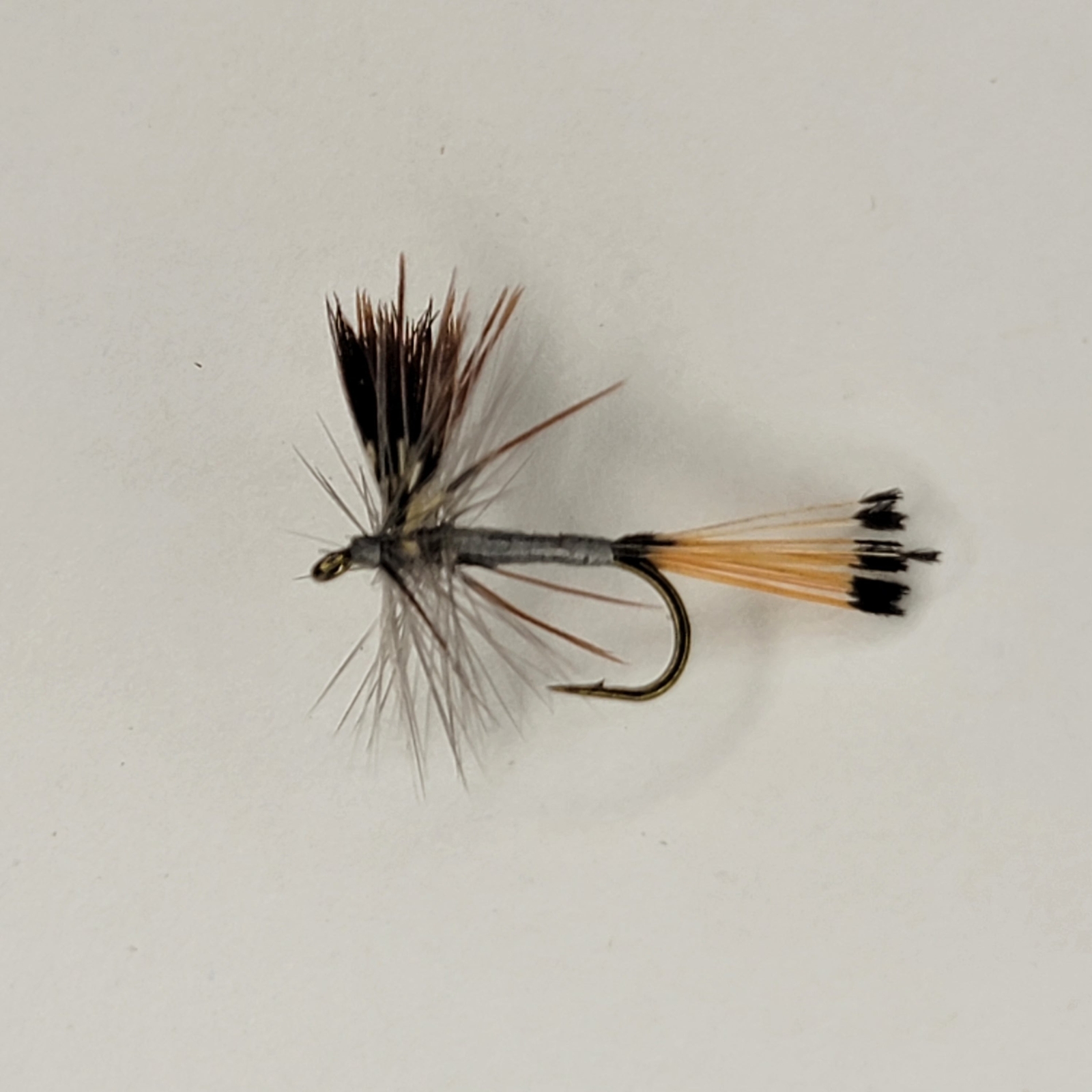 Mayfly - (Pack of 3)