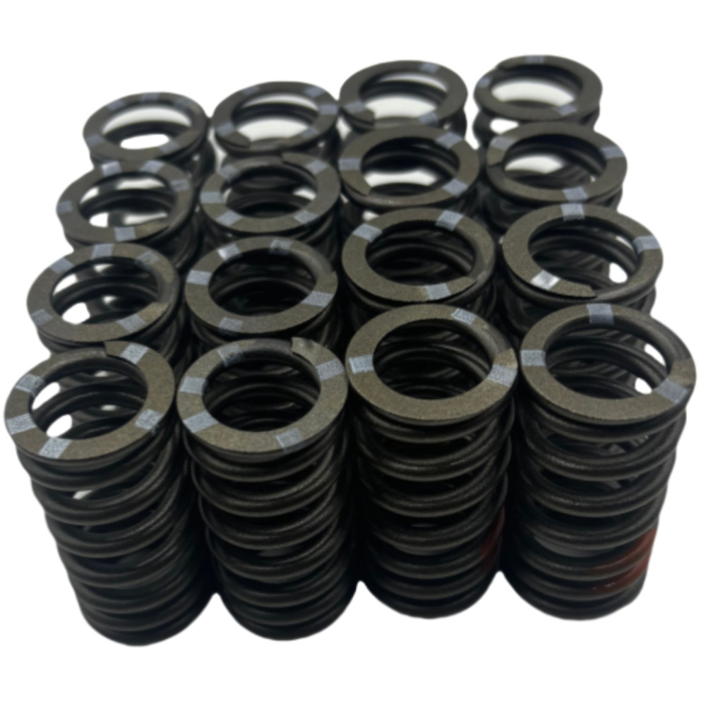 16 x OEM Intake & Exhaust Valve Springs set For VW GTi Golf Jetta Audi A4 2.0