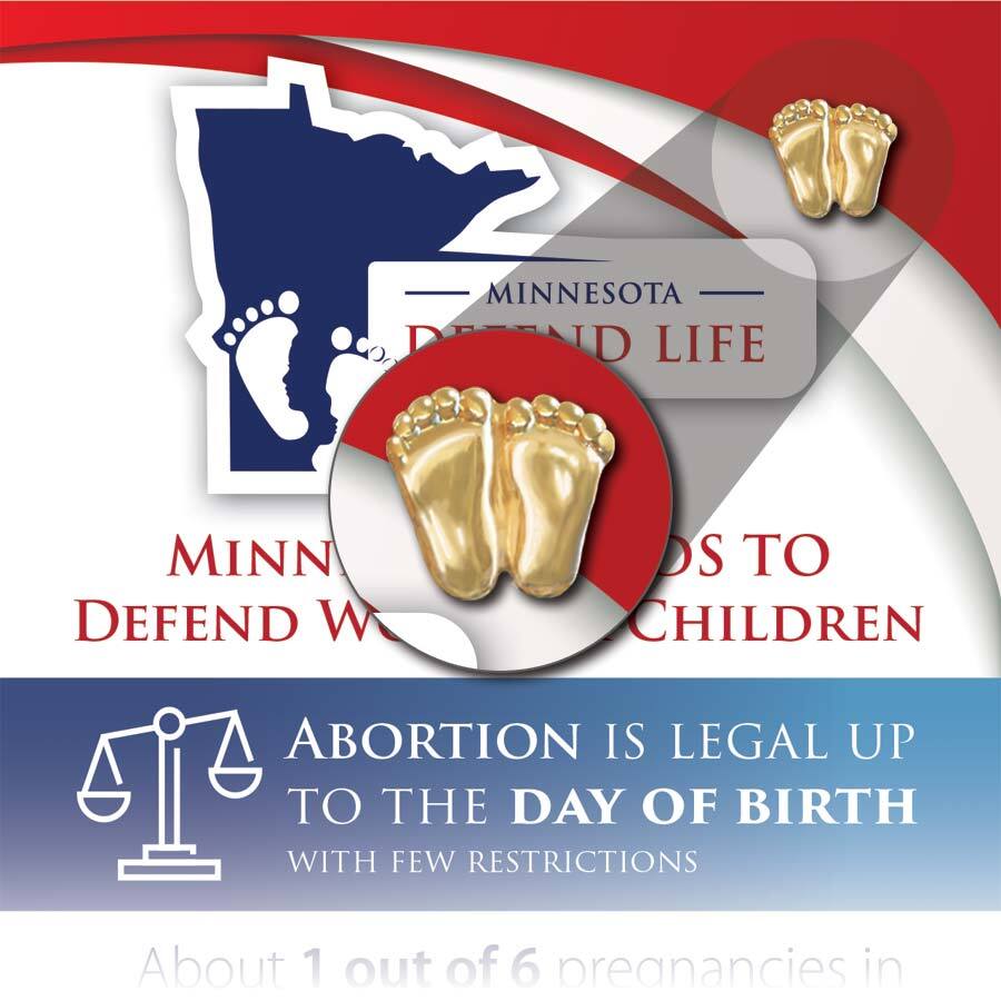 Precious Feet, Gold-Colored, Minnesota Stats Card Jewelry, Lapel Pin