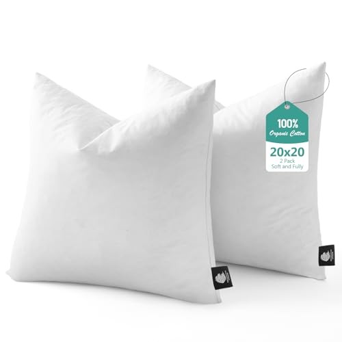 Luxury Feather Down 20x20 Pillow Inserts Set of 2, Soft 20x20 Inch (Pack of 2)