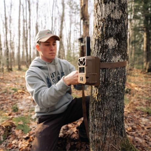 Edge 3 Cellular Trail Camera - 2-Pack, 40MP, 0.5s Trigger | Scout from 2 Pack