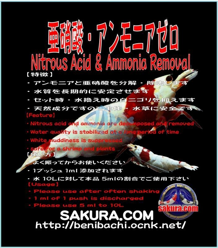 Japan Benibachi Sakura Ammonia Removal Nitrite Out Crystal Cherry Shrimps