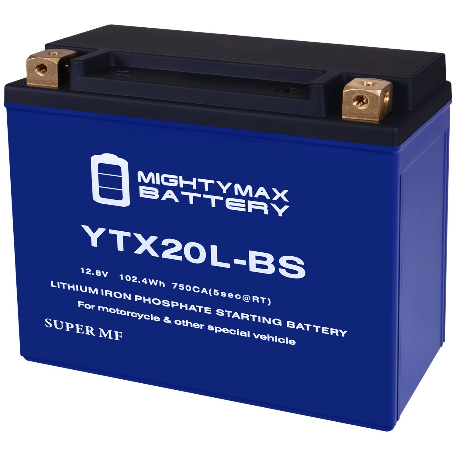 Mighty Max YTX20L-BS Lithium Replaces SeaDoo All Models GTX 4-TEZ, RXP 94-07