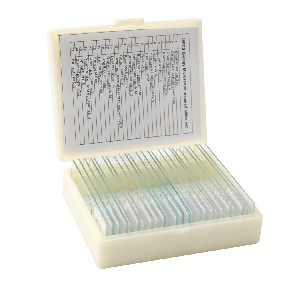 25PCS Animal Plants Insects Tissues  Cover Slips Microscope Slides L4P4