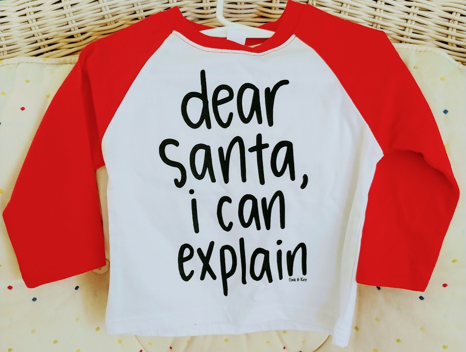 Dear Santa I Can Explain T-Shirt