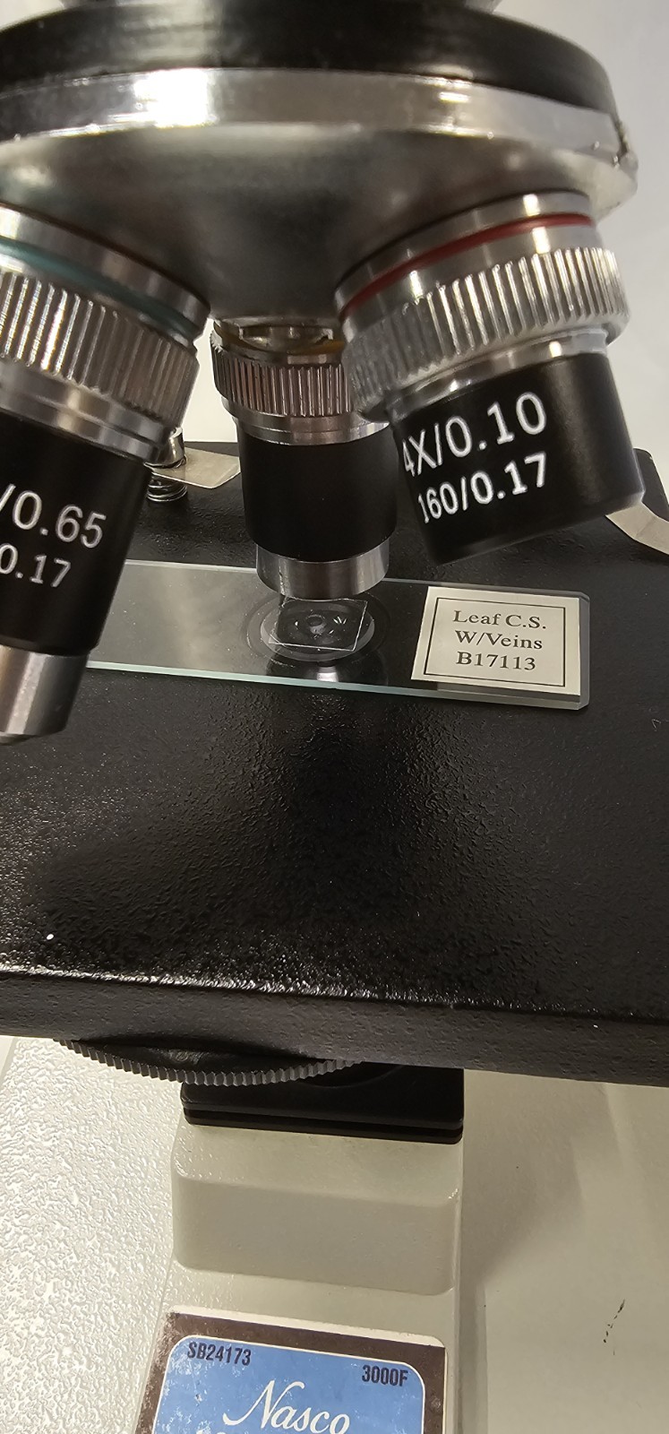 Nasco Compound microscope SB24173