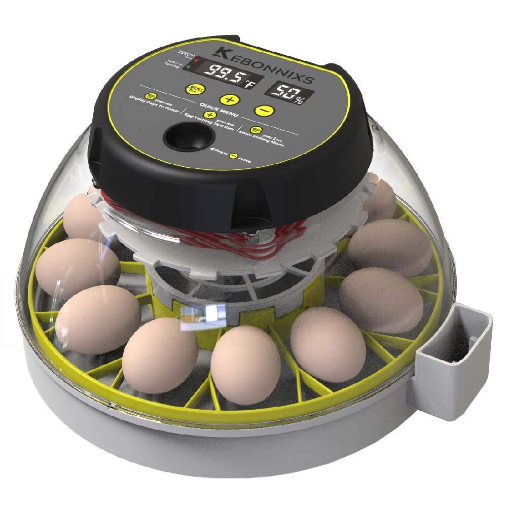 Kebonnixs Black 12 Egg Incubator With Humidity Display Auto Egg Turner Candler