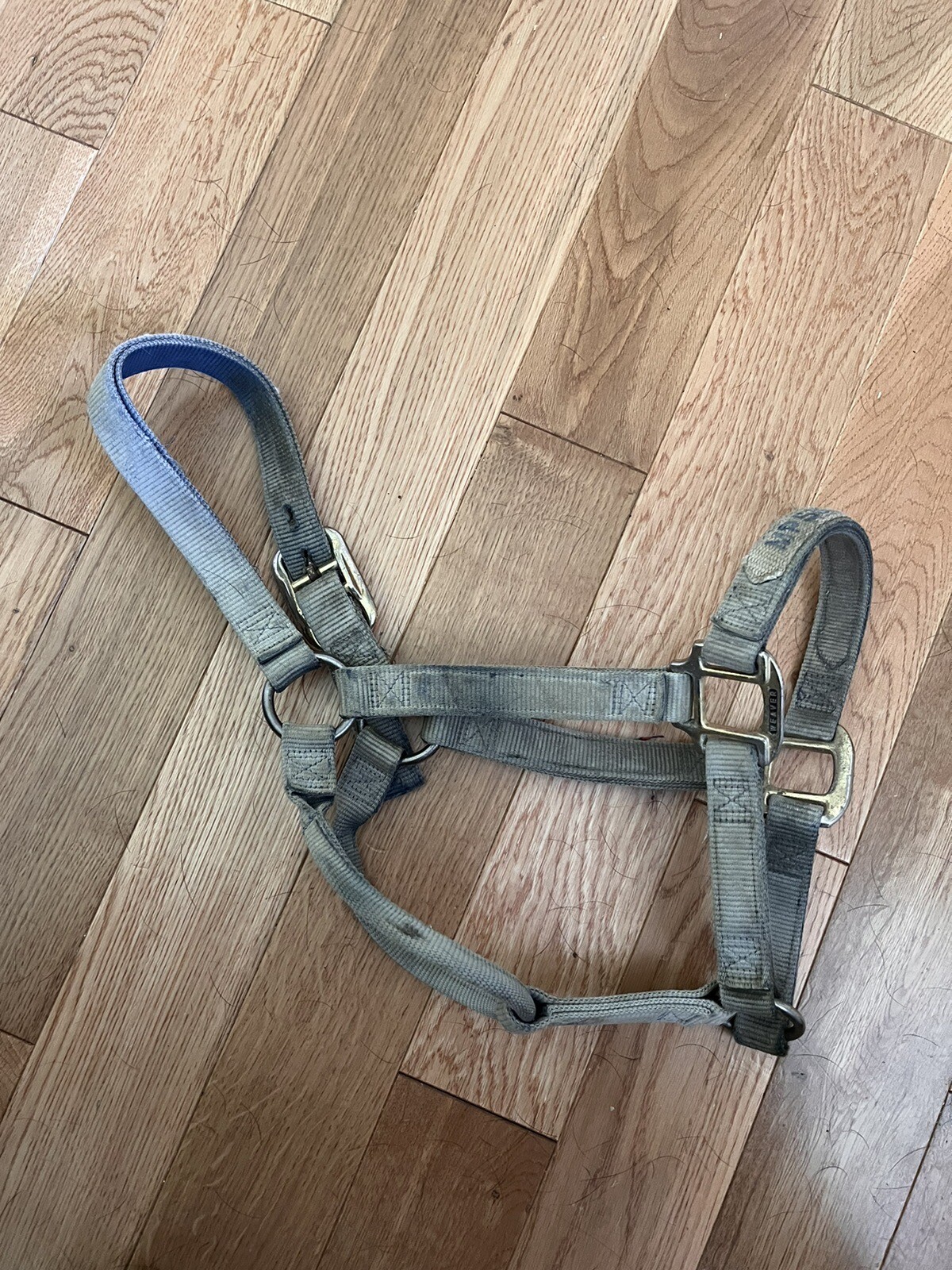 Weaver Blue Pony Halter