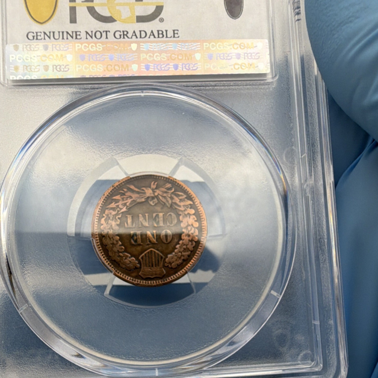 1908 Indian Head Small Cent PCGS Genuine Ex-Jewelry F Detail Bronze Coin