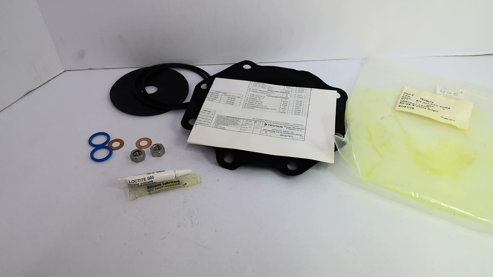 Pentair 1070072 Replacement Kit 427 D&S Buna