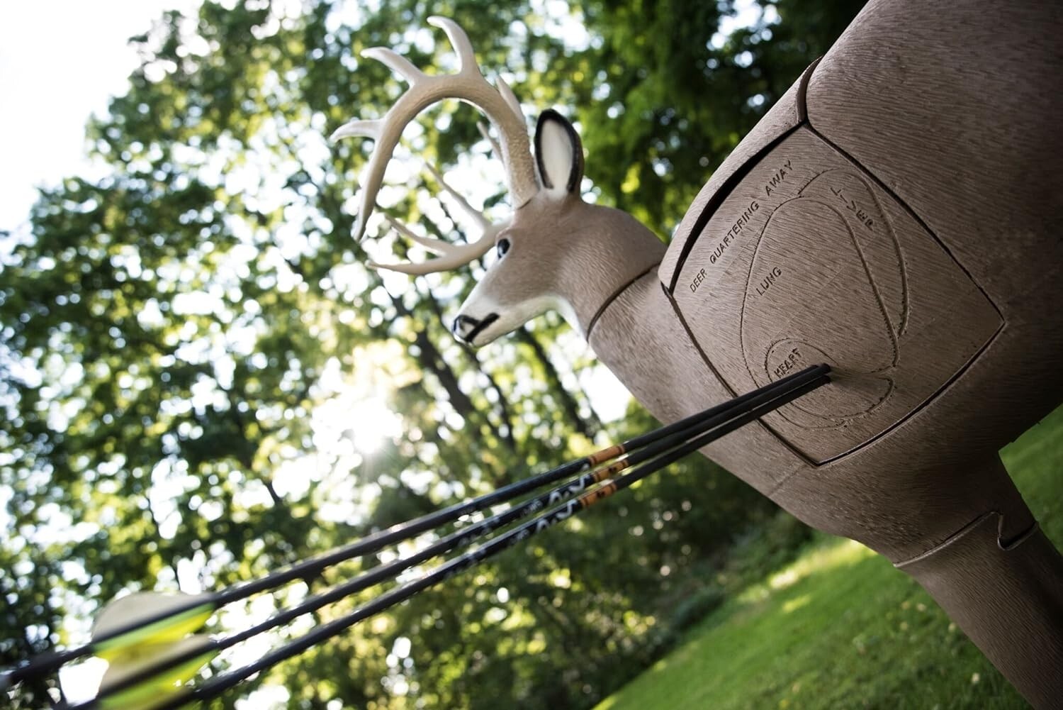 Realistic Lifelike 3D Buck Archery Target - Removable Head - Replaceable Insert