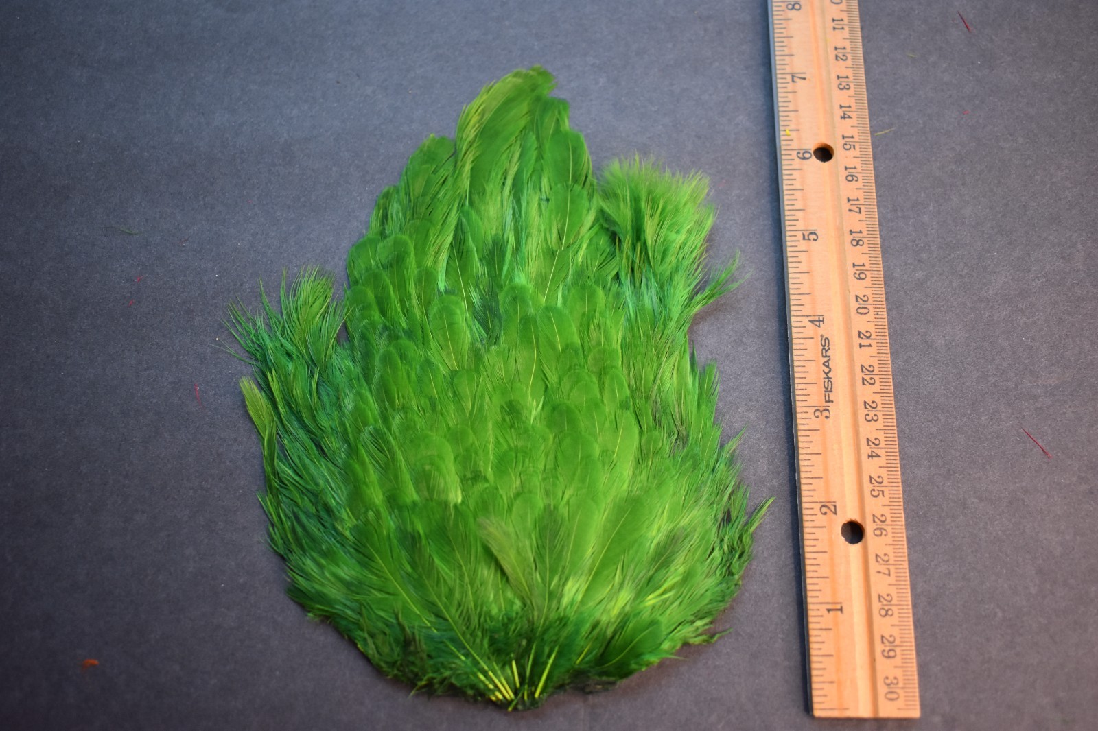 Lot 61,   Dyed SHADES OF GREEN India Hen Back Saddle Feathers for Fly Tying
