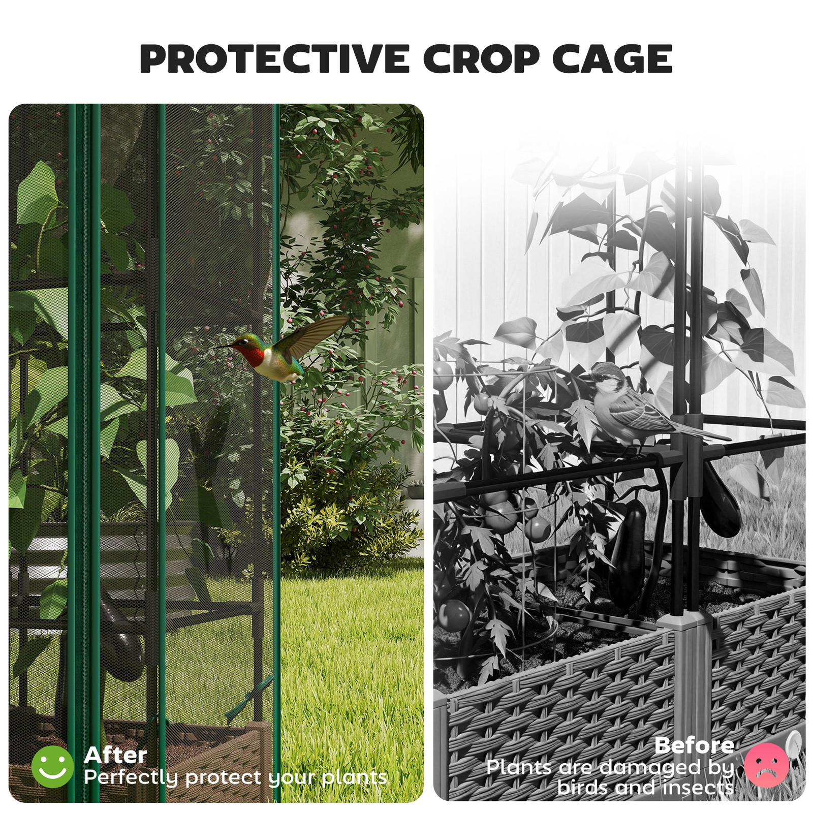 Raised Garden Bed with Trellis