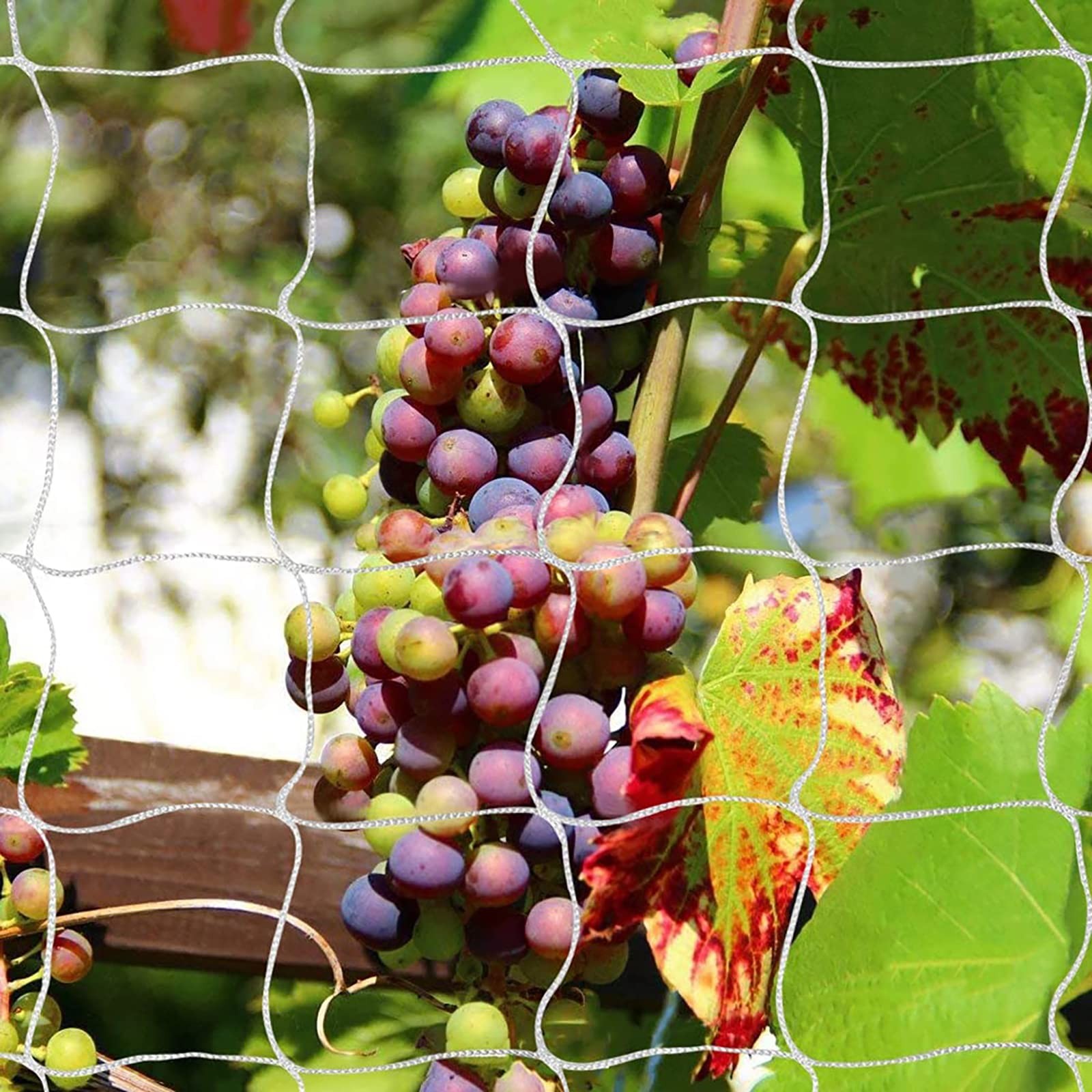 Tcamp Heavy-Duty Polyester Garden Trellis Net 3.5" Mesh (5 Ft X 30 Ft), White