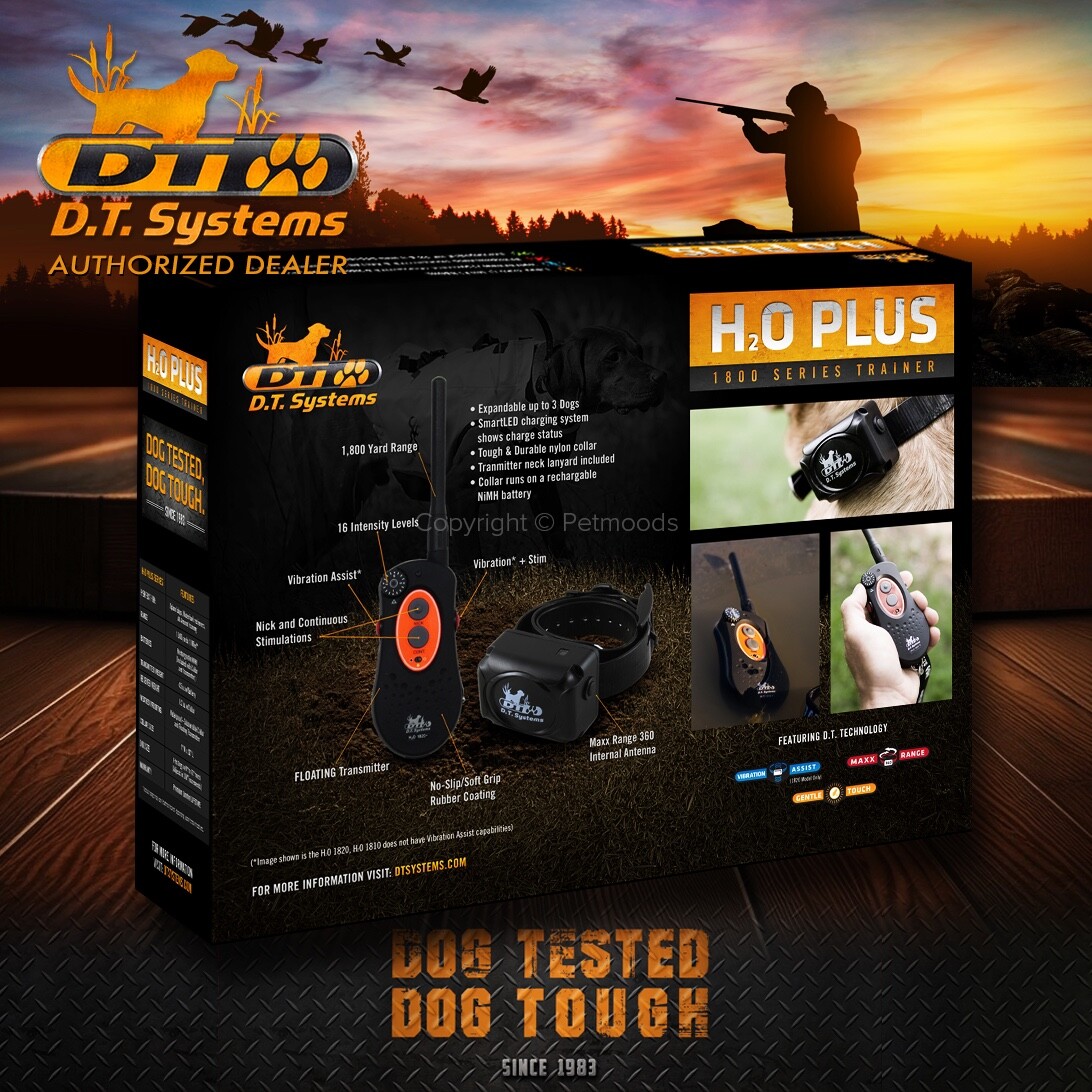 DT Systems H2O 1820 PLUS Expandable Dog Remote Trainer
