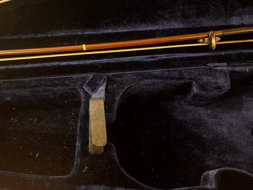 Maestro violin with two bows