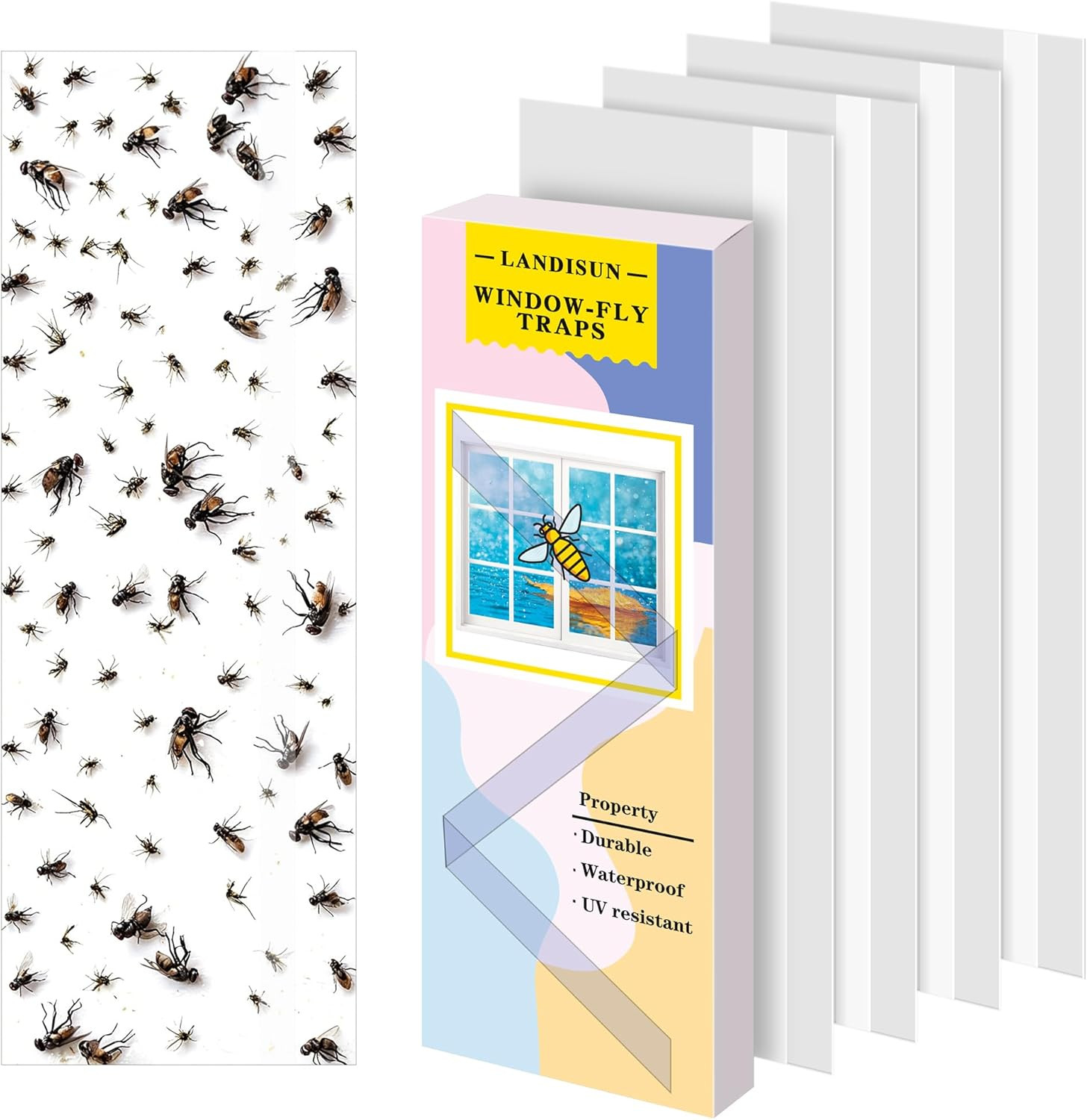 Fly Trap Indoor Fruit Fly Traps for Mosquitos Gnats Windows 30 Pack