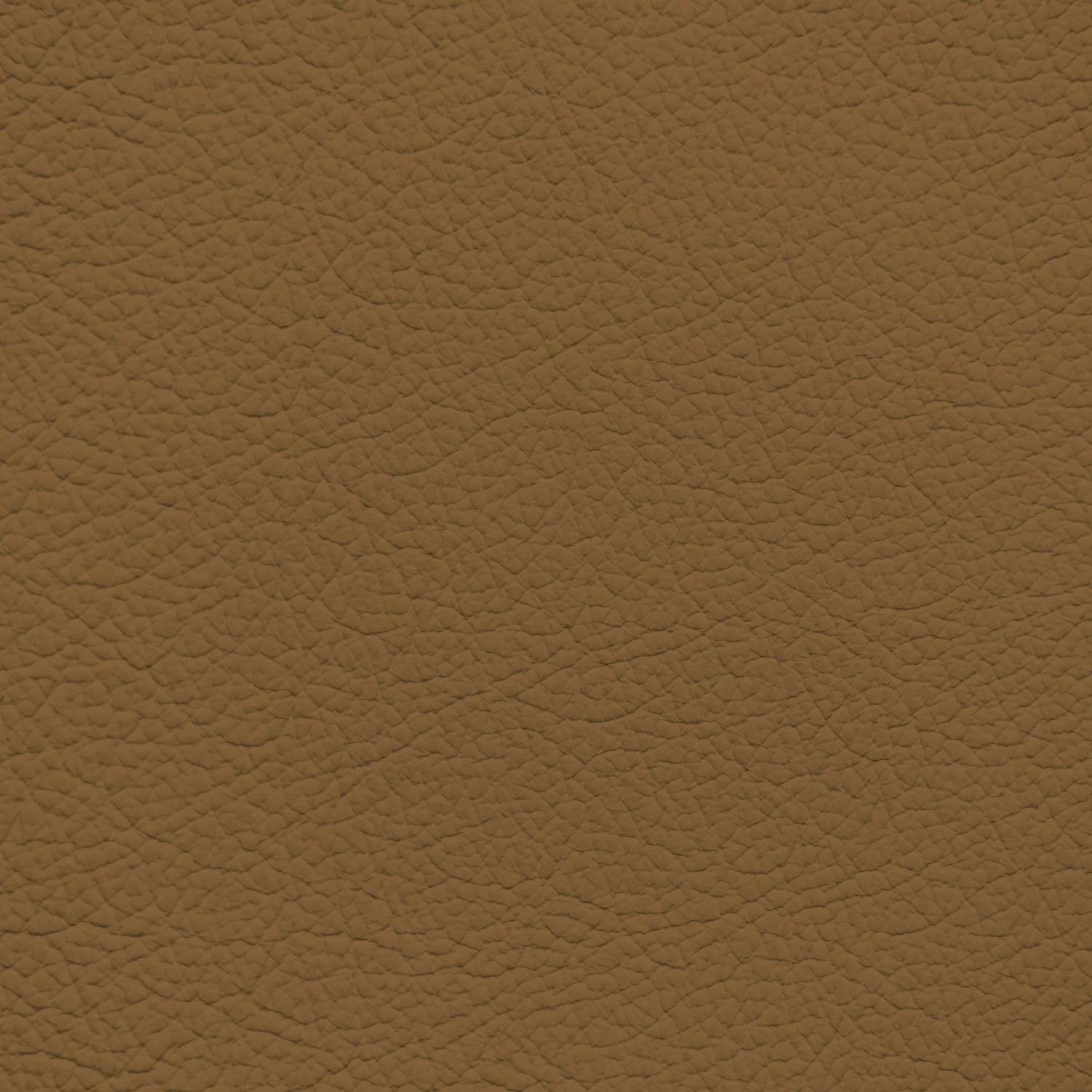 BMW Llama Leather Dye