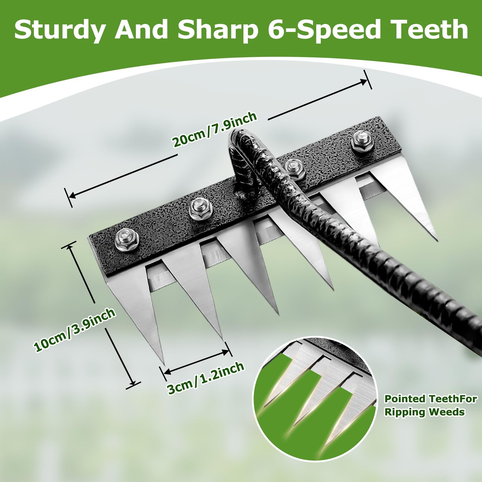 Gardenia Iron Weeding Rake, 2.0 Rake with Long transparent
