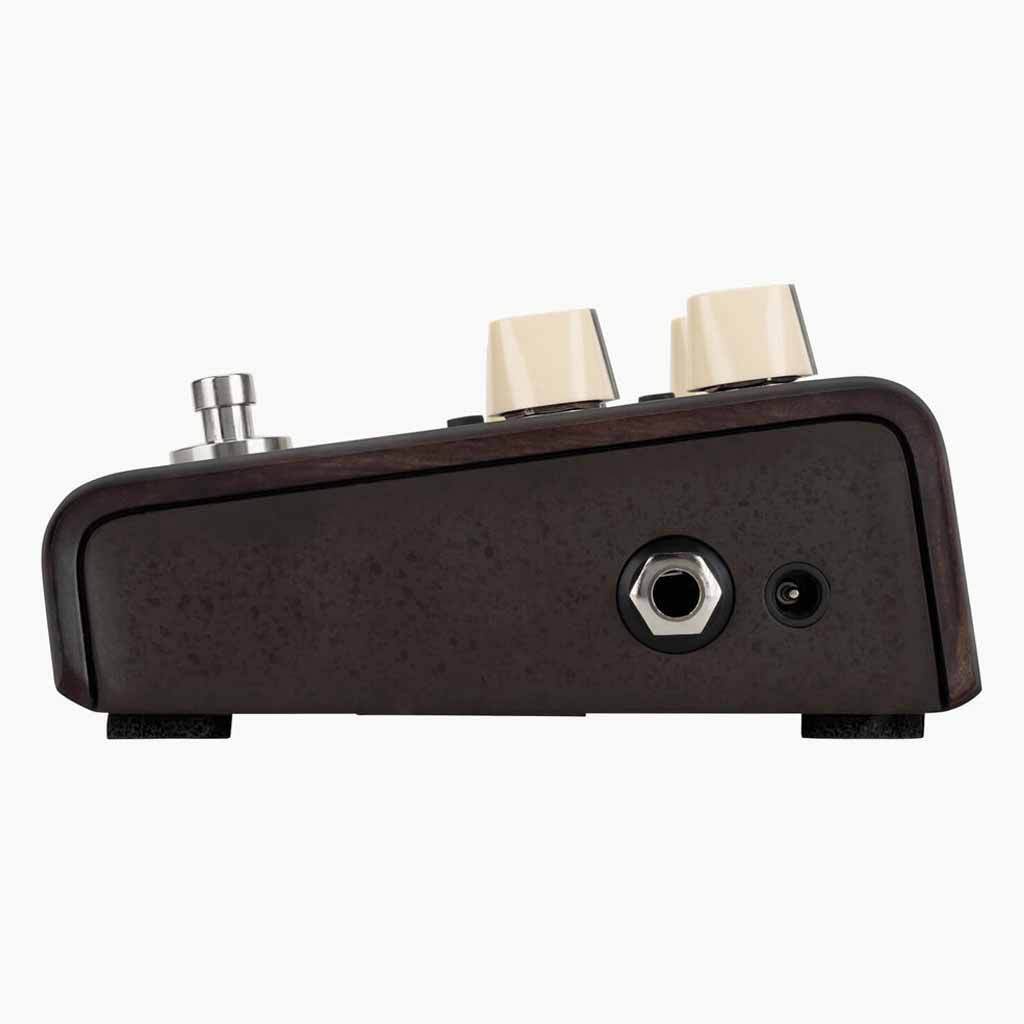 L.R. Baggs Align Series Delay Acoustic Pedal