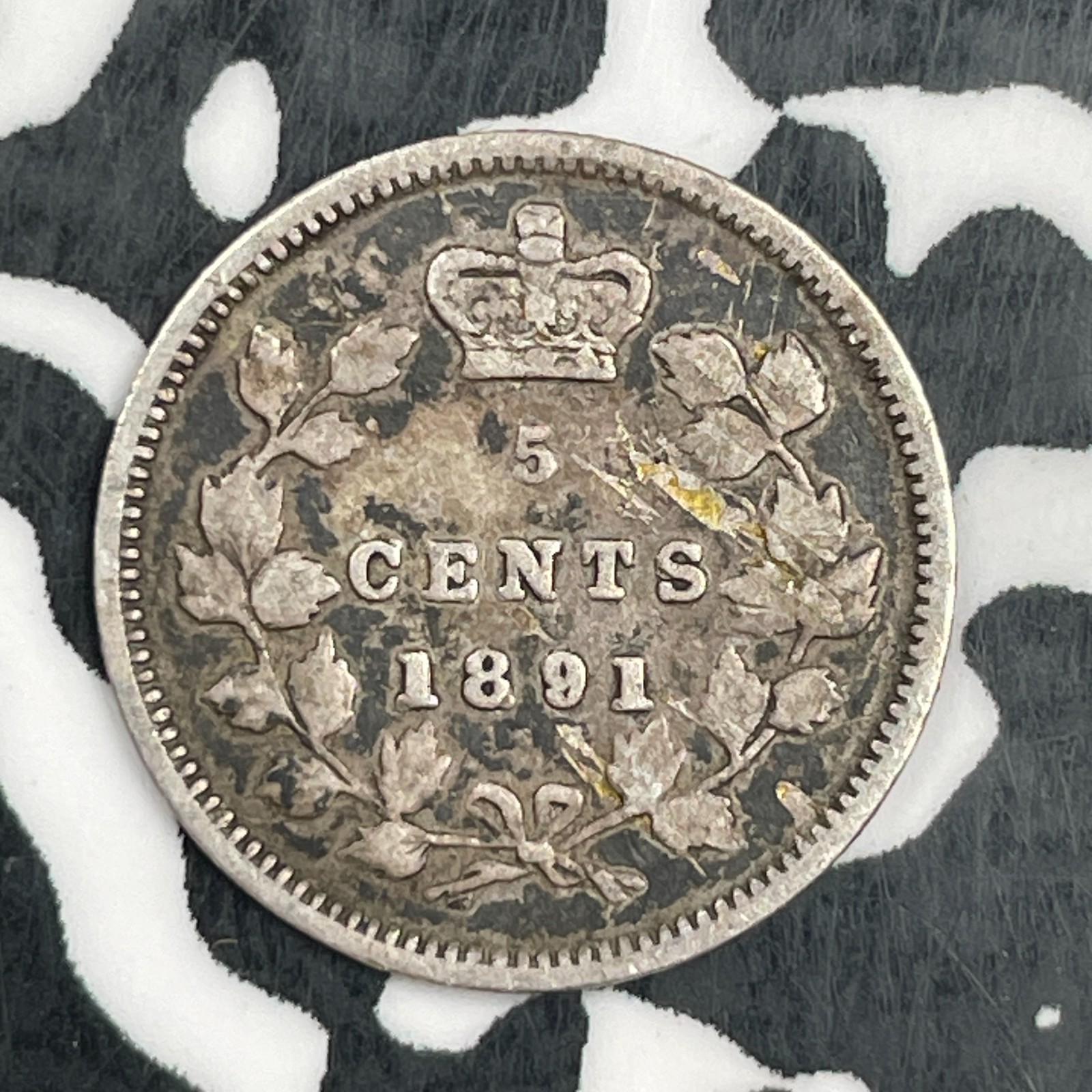 1891 Canada 5 Cents Lot#F8621 Silver!