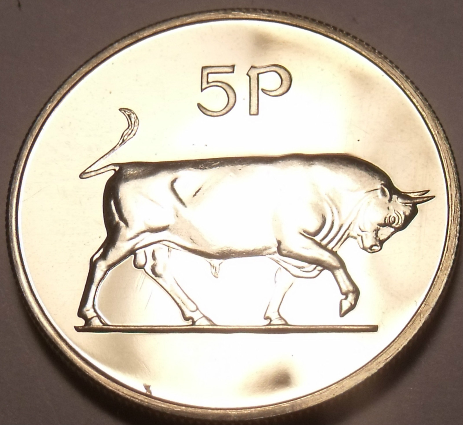 Rare Proof Ireland 1971 5 Pence~1st Year Ever Minted~Bull~Free Shipping