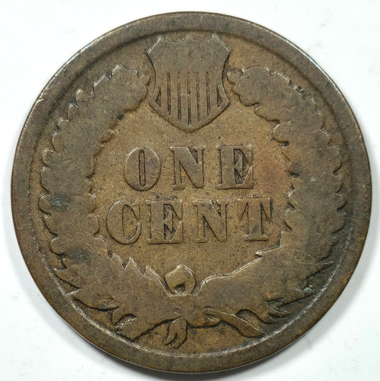 1881 INDIAN HEAD CENT 1C G GOOD CIRCULATED C215