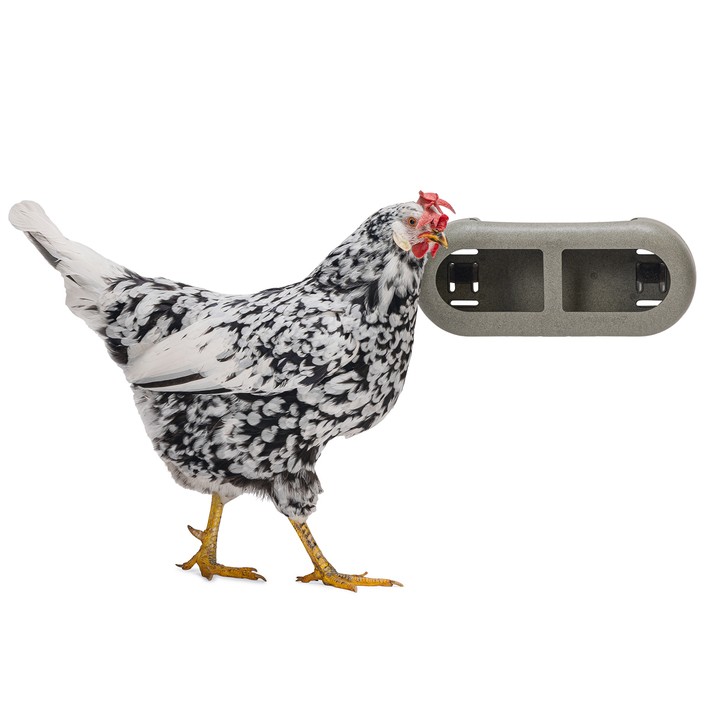 CHICKEN FEEDER WITH ATTACHMENTS 100 % RECYCLED