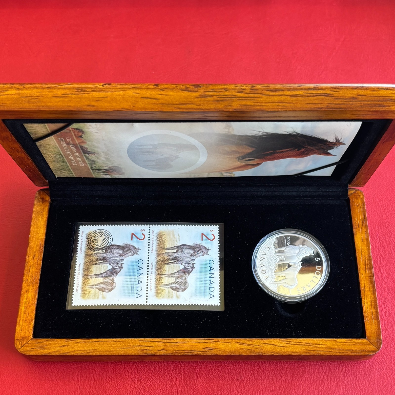 5 Dollar Canada 2006 PP Sable Island Ponies SILBER Silber 0.999 Proof