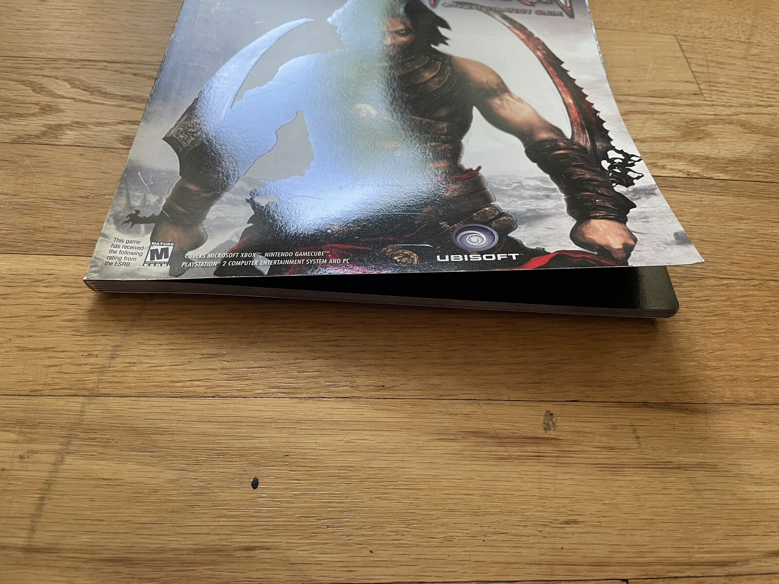 NEW Prince of Persia Warrior Within Official Strategy Guide NO PosterPS2