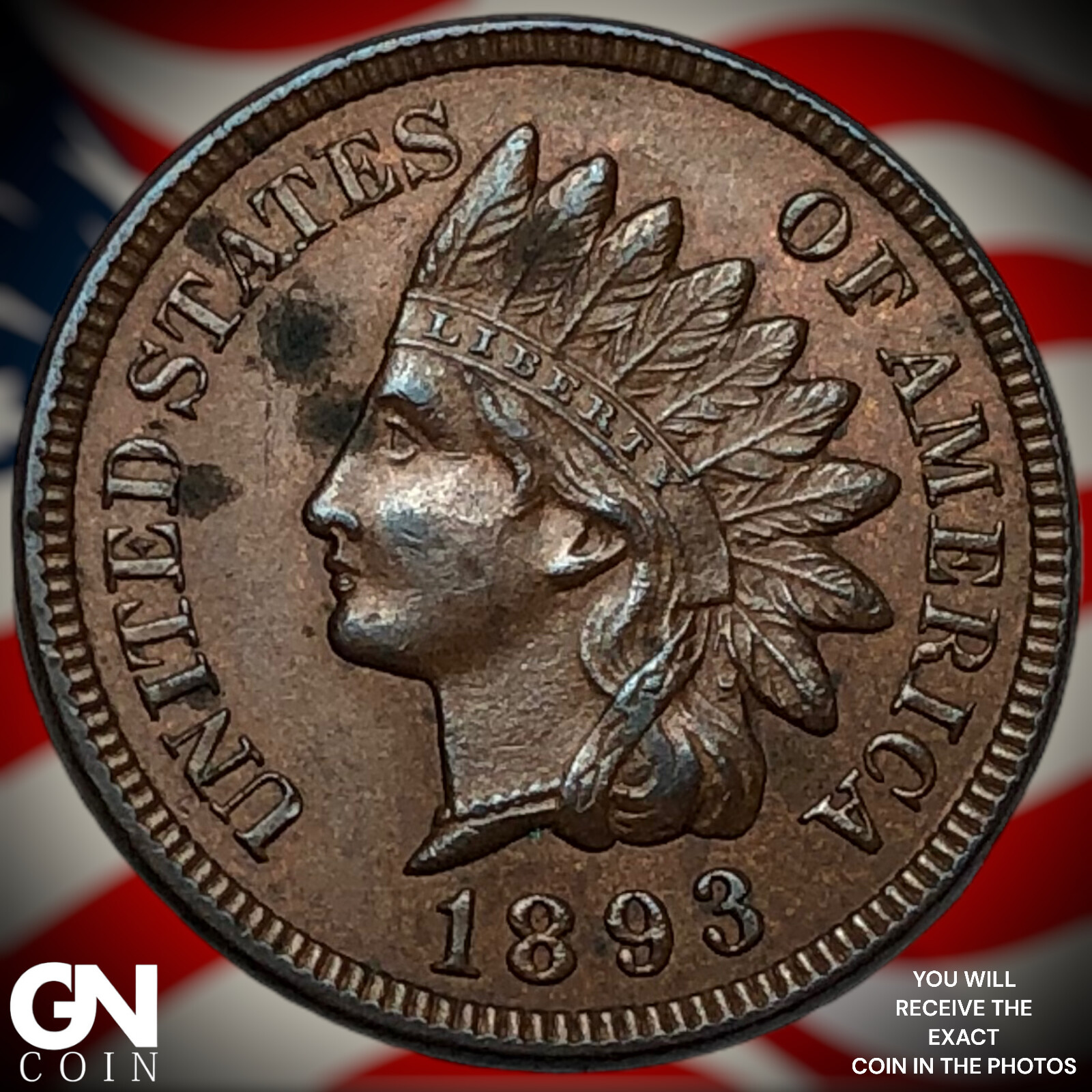 1893 Indian Head Cent Penny M8124
