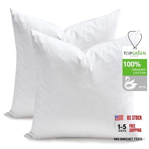 Feathers Down Throw Pillow Inserts 28x28 Inch(Pack of 2) White(pack of 2)