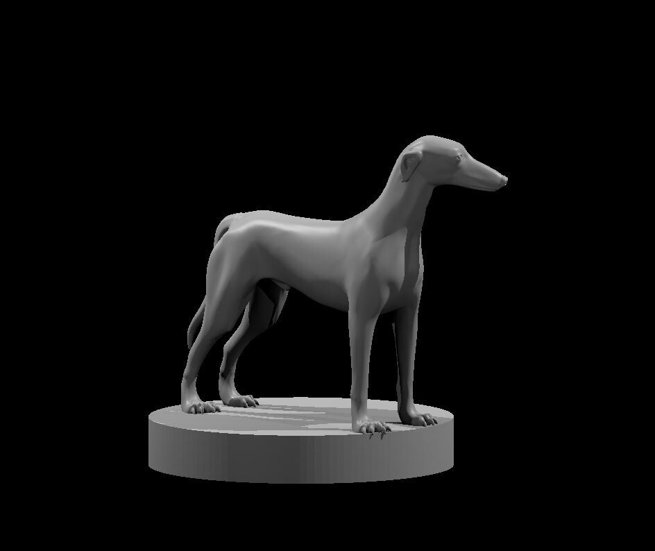 Greyhound Dog Familiar Monster Manual 28mm Scale DND D&D Wargame Tabletop Mini