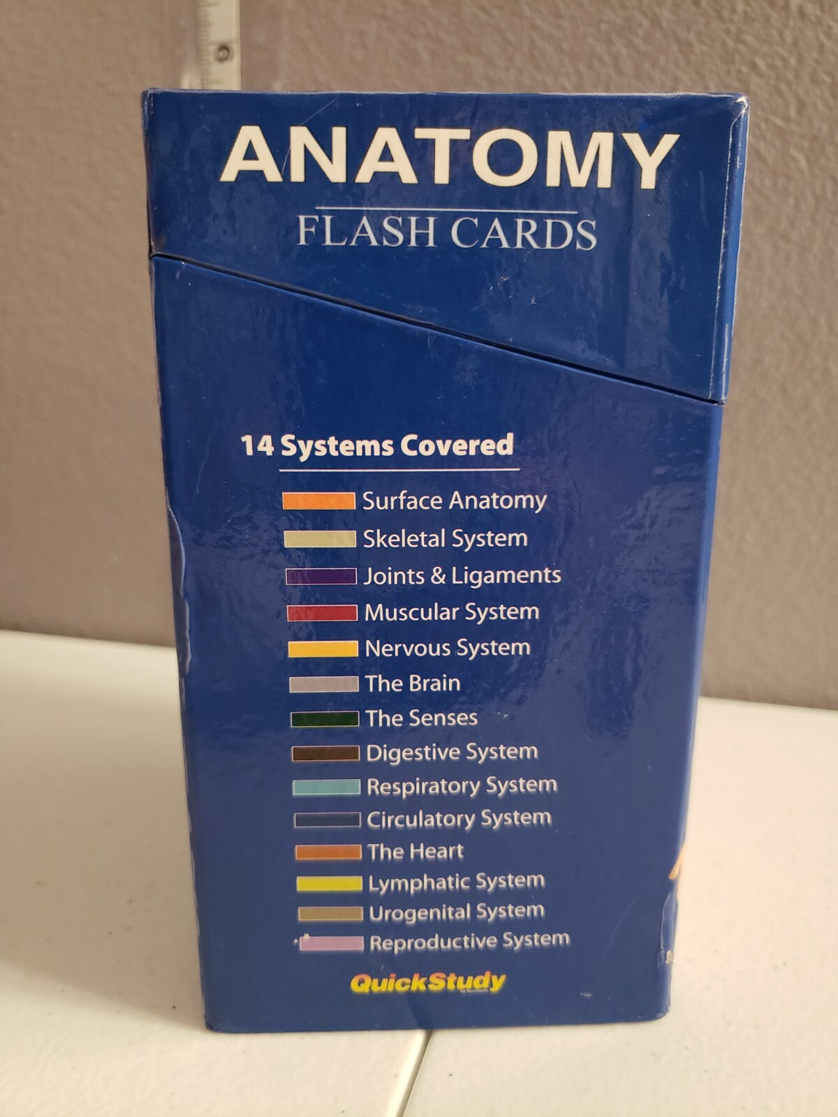 Medical Human Anatomy Educational Flash Cards