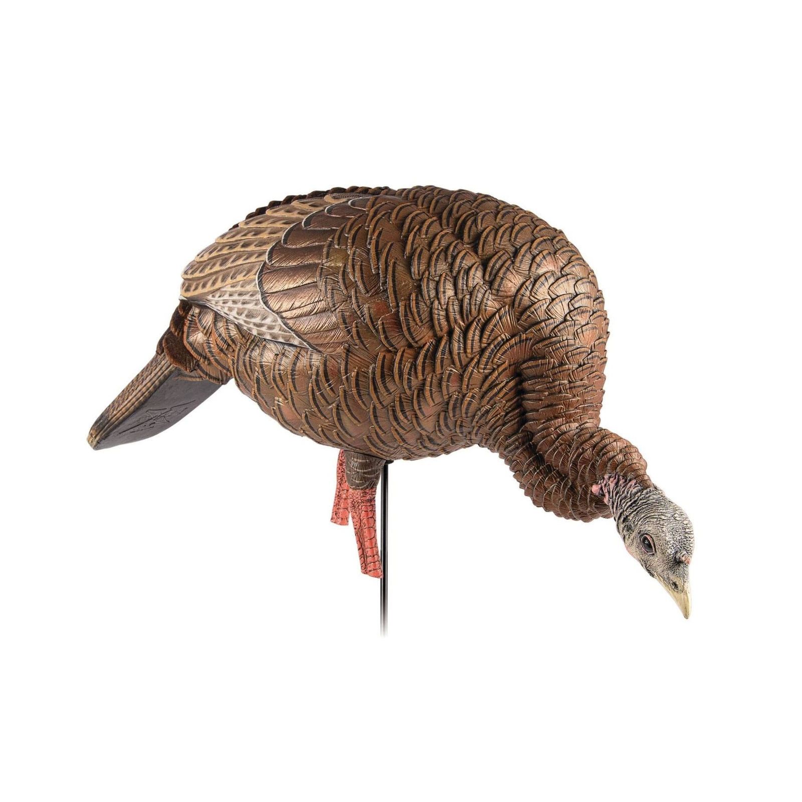Avian-X HDR Feeding Hen Turkey Decoy | Durable Realistic Lifelike Standing Hu...