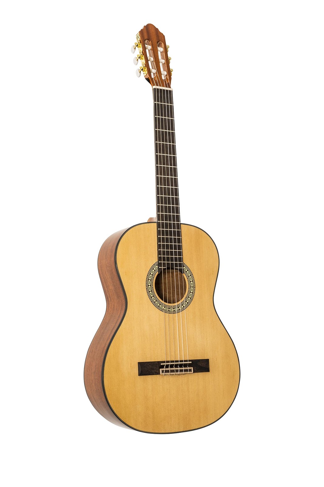 Peavey CNS1 Classical Nylon String Guitar