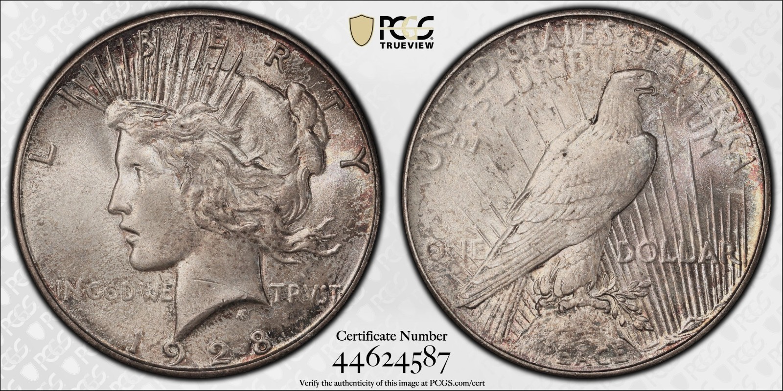 1928 PEACE DOLLAR PCGS MS 63, LOVELY ORIGINAL LIGHT PEWTER PATINA AND BEJEWELLED
