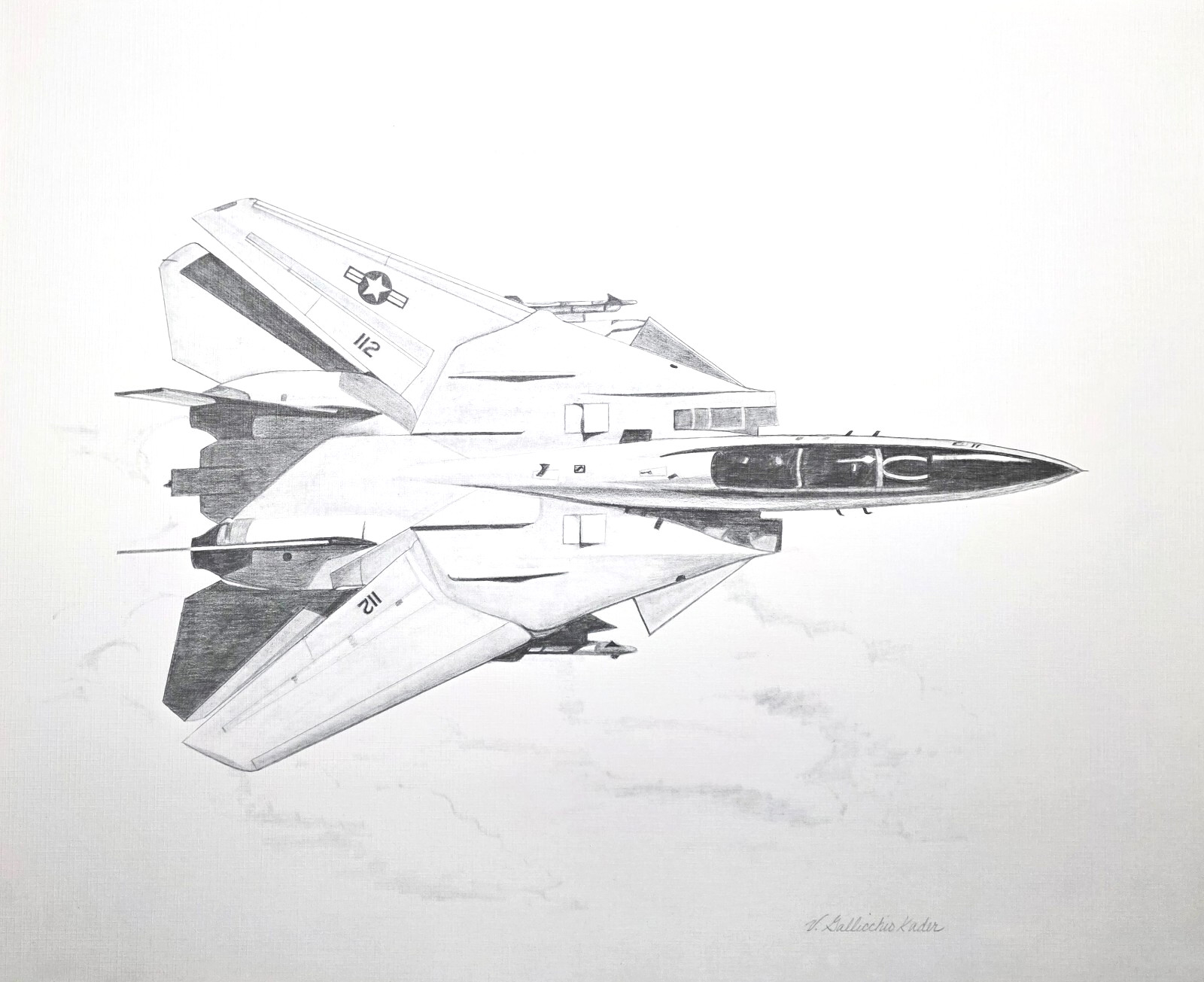 F-14 Tomcat Top View Print 16" x 20" Beautiful! U.S. Navy Fighter Top Gun