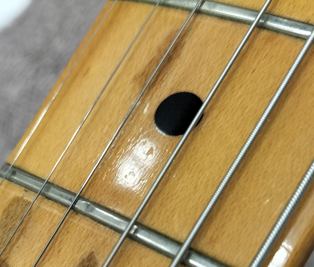 FENDER TL72-55 (NO251005)