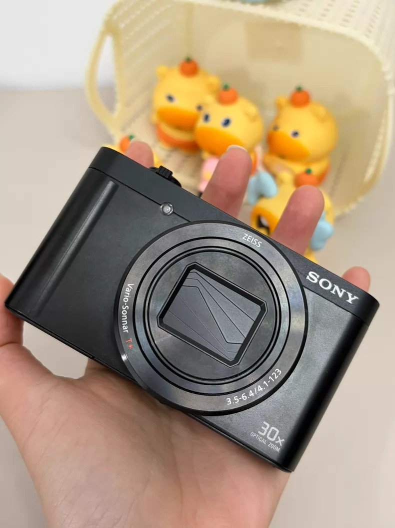 Sony DSC-WX500 18.2MP Digital Camera 30x Zoom Flip Screen