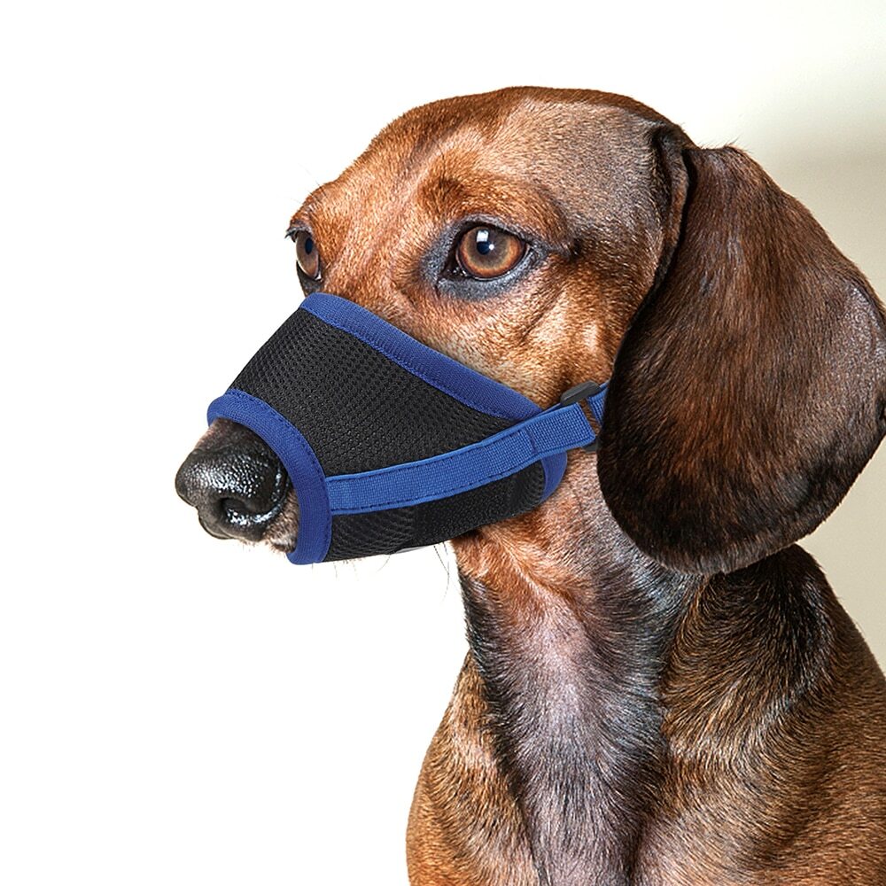 MESH Dog Muzzle Anti Stop Bite Barking Biting Chewing Training Pet Light Nylon